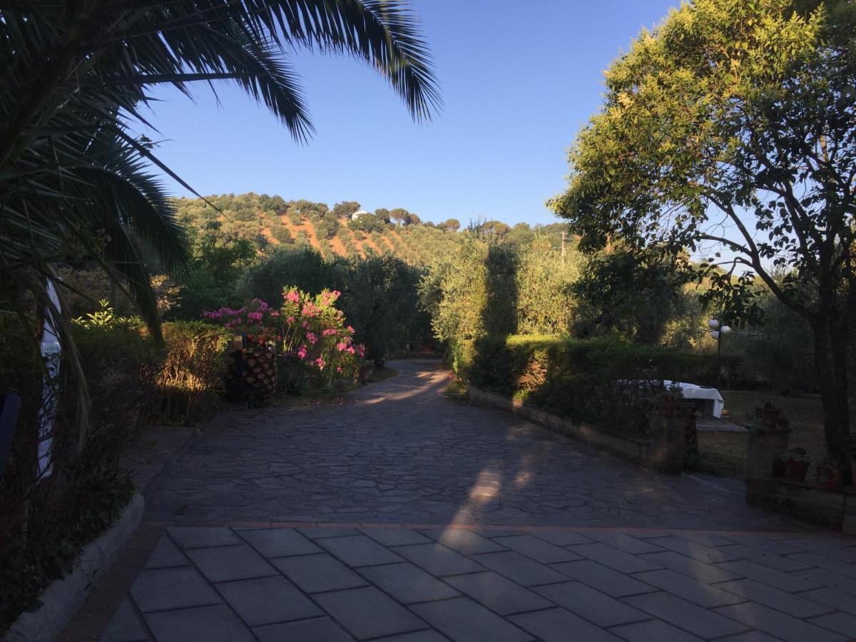 Agriturismo Buen Camino Scarlino Εξωτερικό φωτογραφία