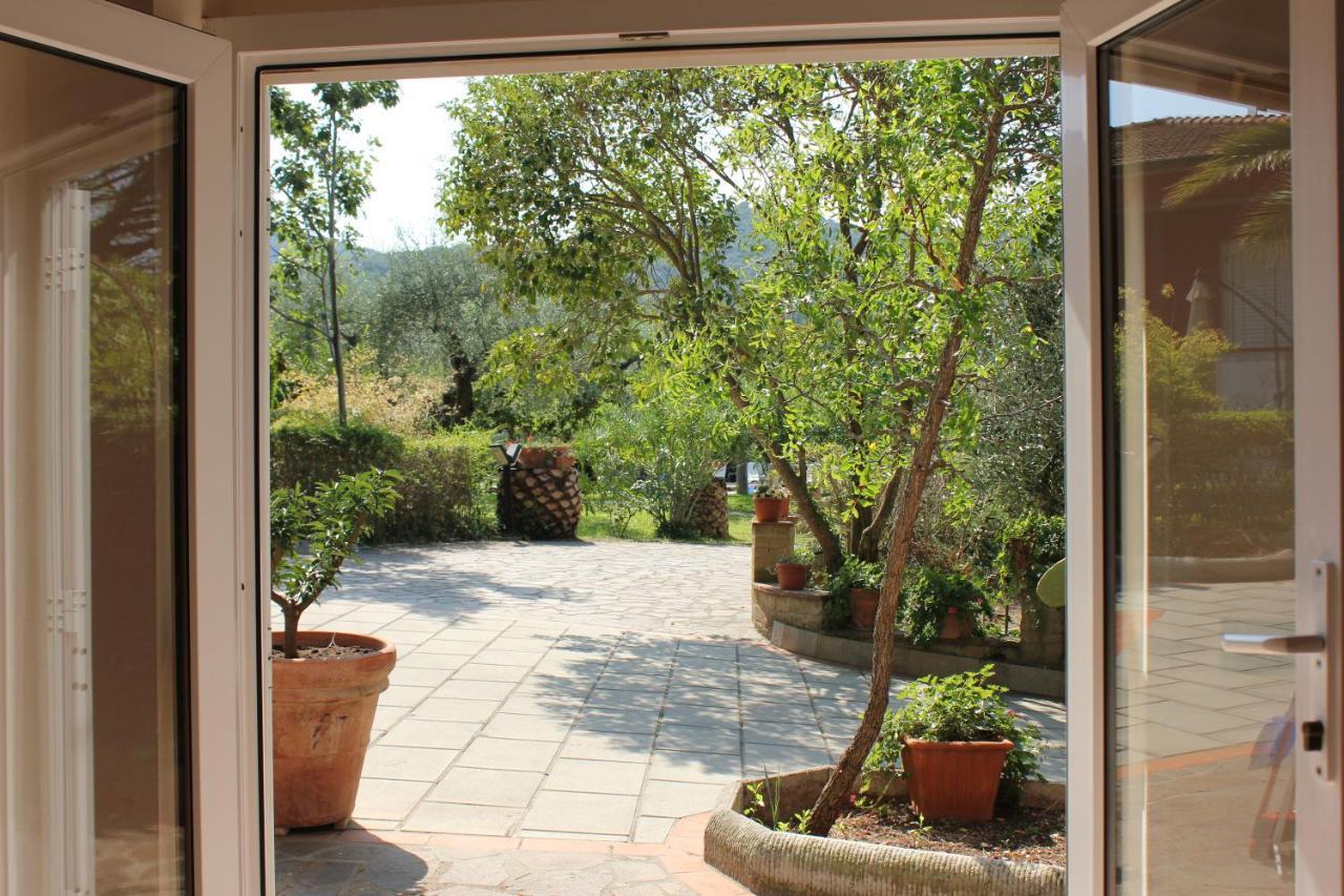 Agriturismo Buen Camino Scarlino Εξωτερικό φωτογραφία