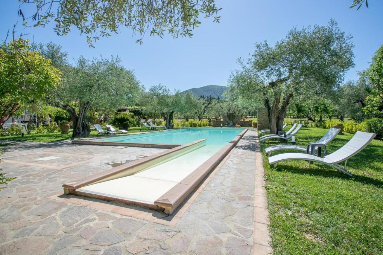 Agriturismo Buen Camino Scarlino Εξωτερικό φωτογραφία