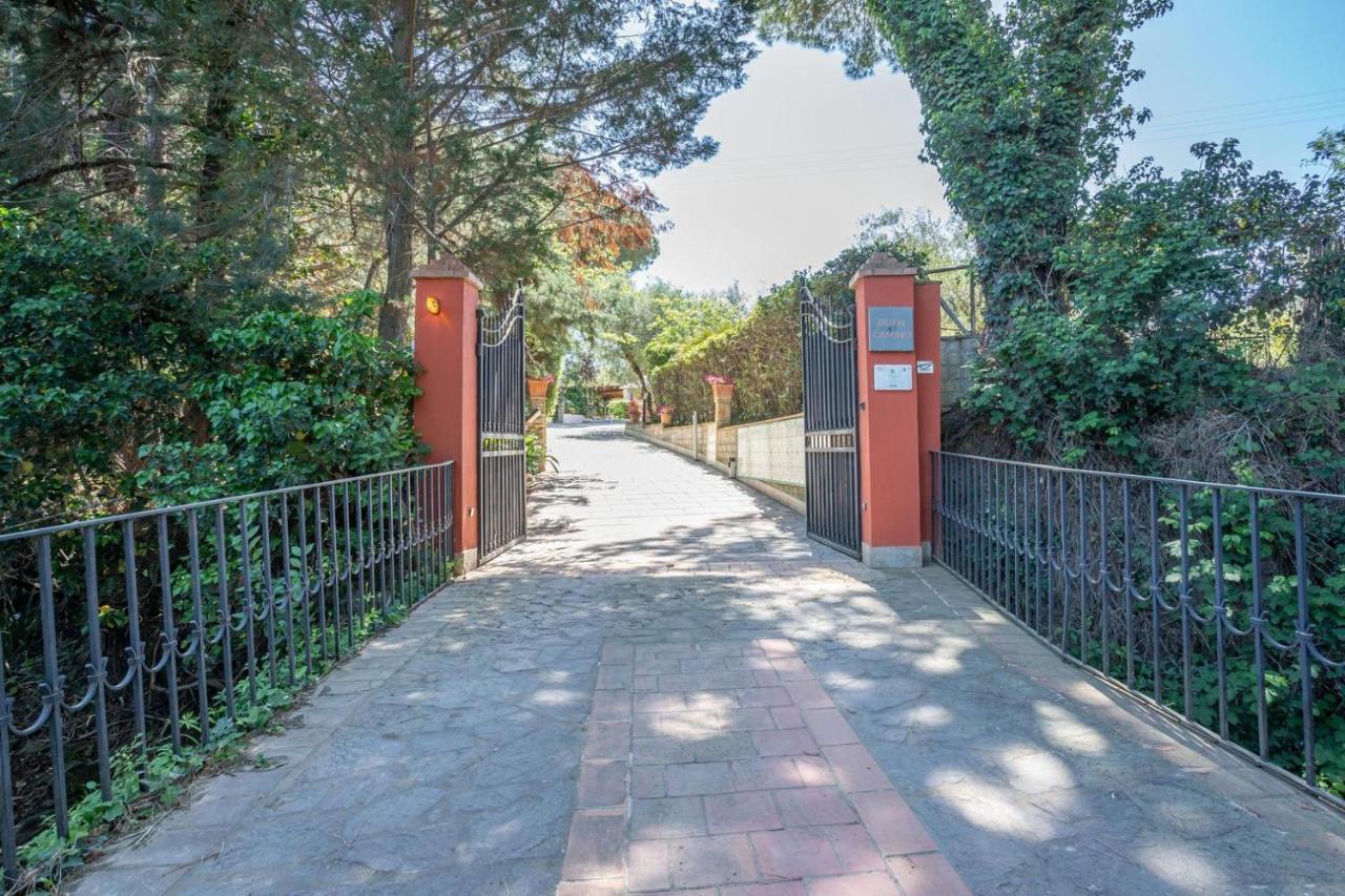 Agriturismo Buen Camino Scarlino Εξωτερικό φωτογραφία