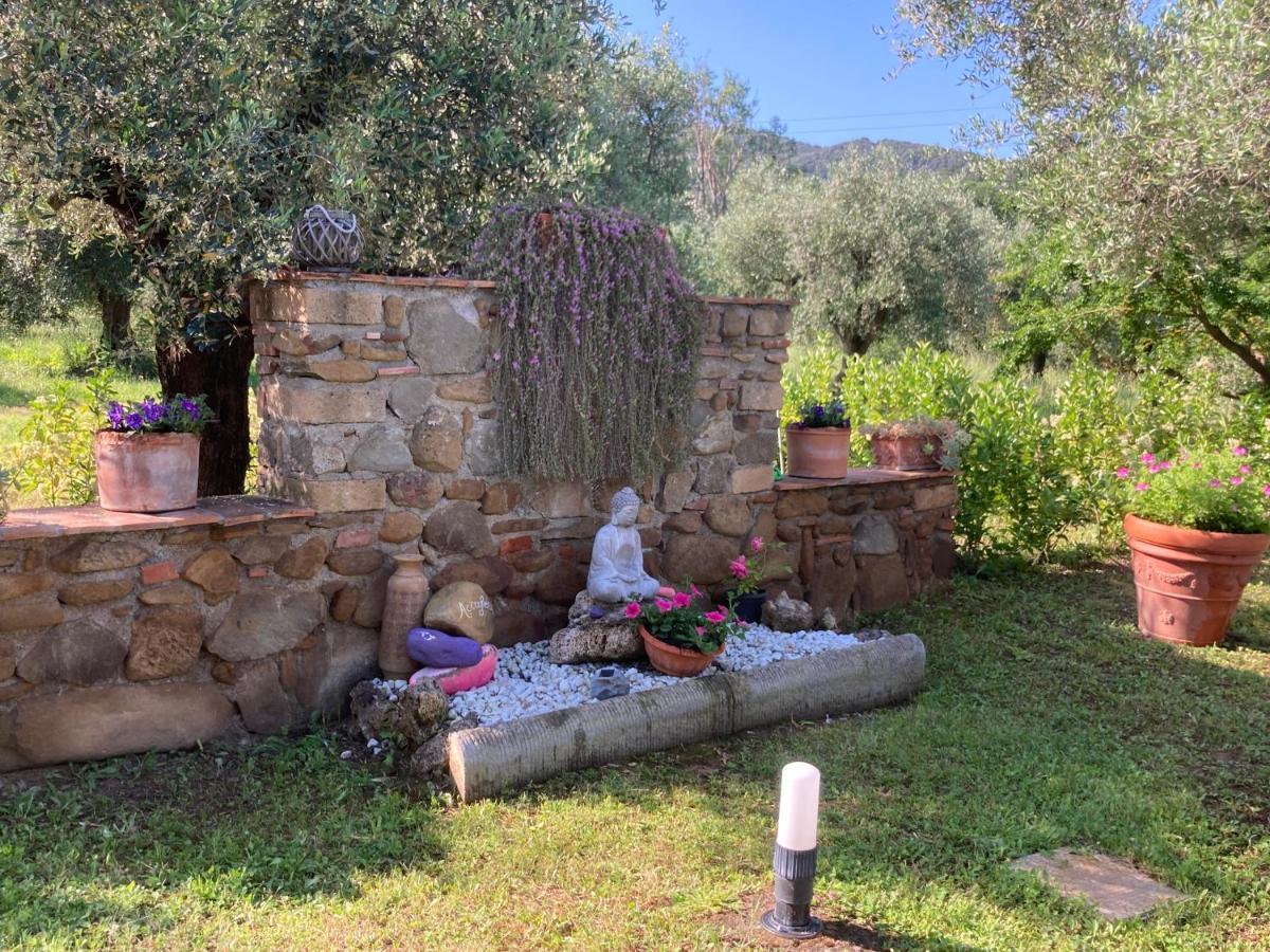 Agriturismo Buen Camino Scarlino Εξωτερικό φωτογραφία