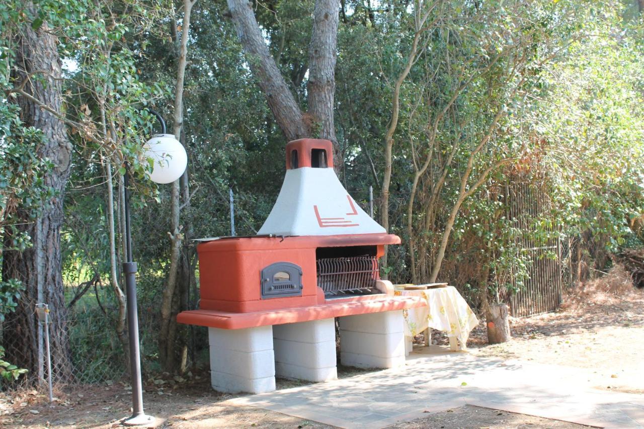 Agriturismo Buen Camino Scarlino Εξωτερικό φωτογραφία