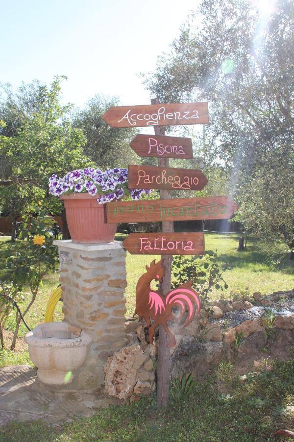 Agriturismo Buen Camino Scarlino Εξωτερικό φωτογραφία